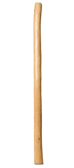 Medium Size Natural Finish Didgeridoo (TW1224)